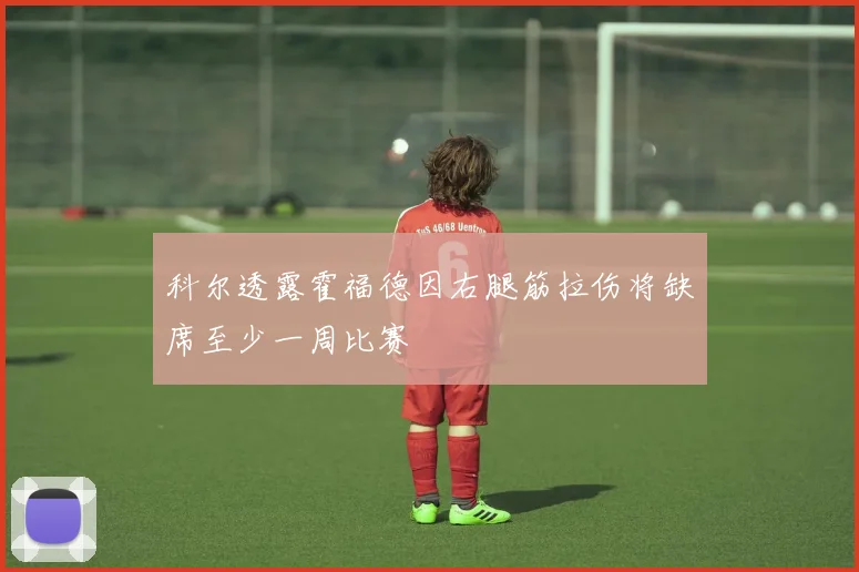 科尔透露霍福德因右腿筋拉伤将缺席至少一周比赛