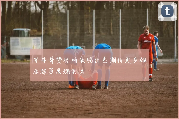 字母哥赞特纳表现出色期待更多雄鹿球员展现实力